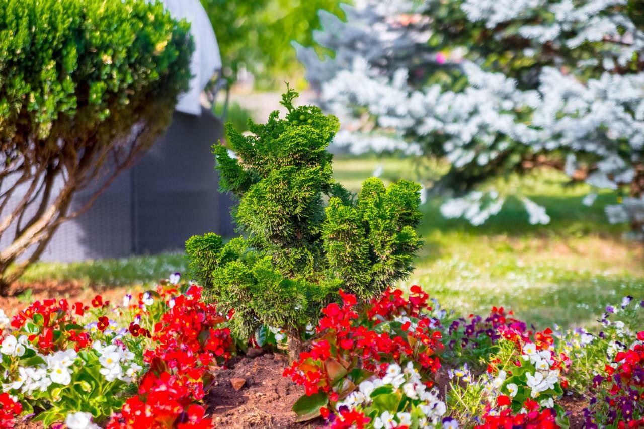 Garden Paradise App Sveti Vid-Miholjice Exterior photo